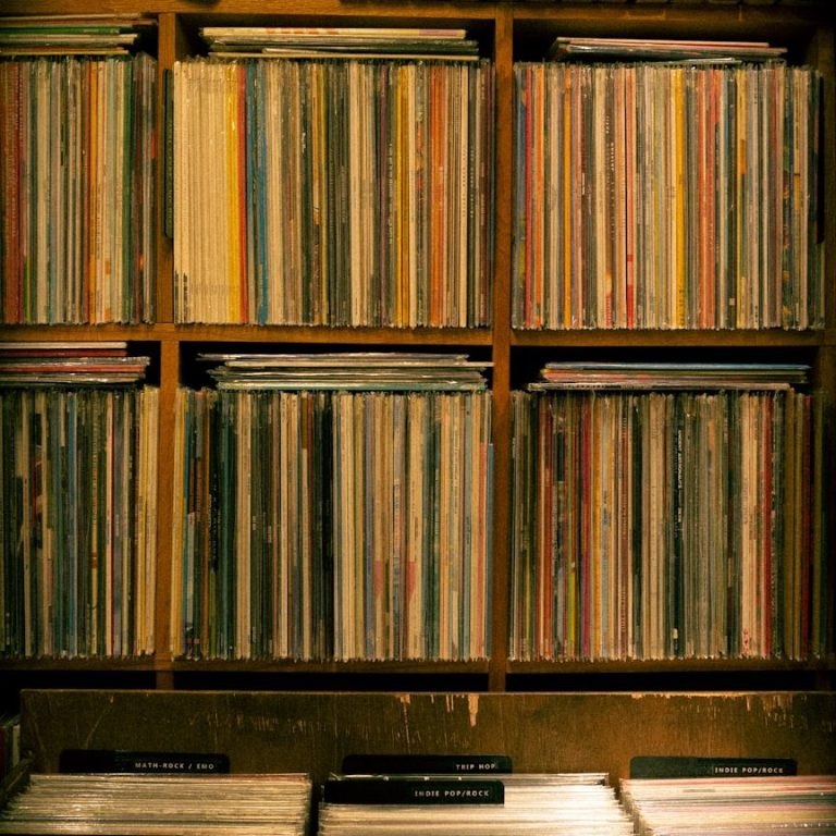Regal mit Schallplatten in verschiedenen Farben und Mustern.