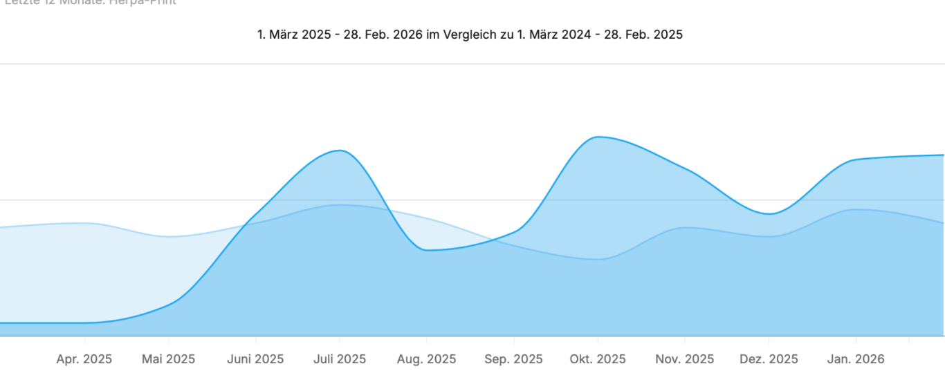 Google Ads Report Diagramm mit blauen Flächen, das Daten über mehrere Monate hinweg darstellt.