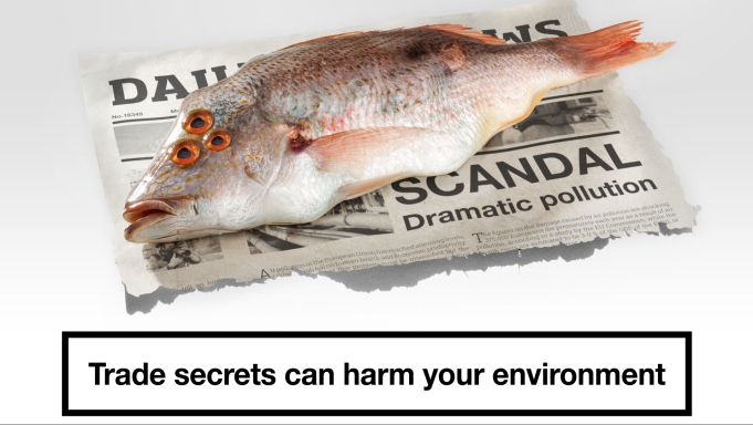 Ein Fisch liegt auf einer Zeitung mit dem Text über Umweltverschmutzung und Geheimnisse.